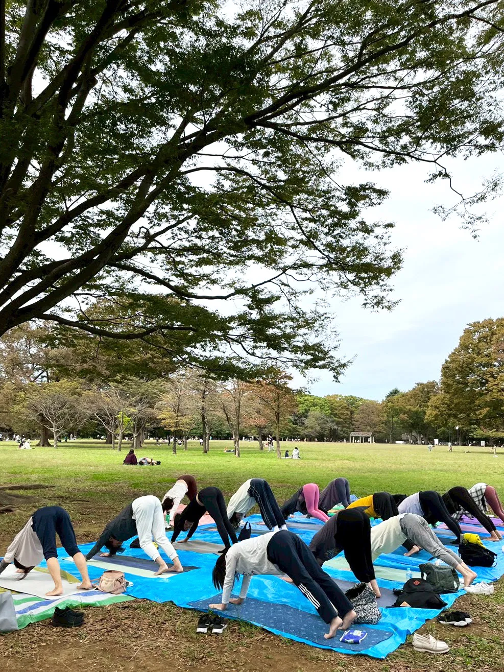 yoga6